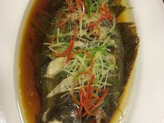 -小叶大馅饺子城