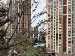 -香港大学