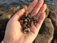-泊石湾海滨浴场