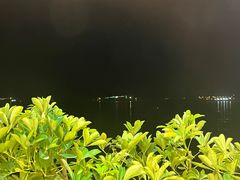 -佳丽海鲜大酒楼(环岛海景店)