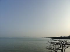 -深圳湾公园(南山区)