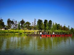 -上海长兴岛郊野公园