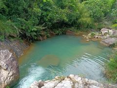 -广州白江湖森林公园