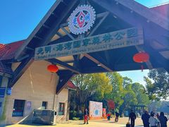 -上海海湾国家森林公园