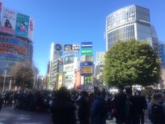 -涩谷区