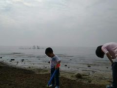 -合肥滨湖国家森林公园