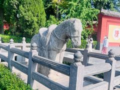 -洛阳白马寺