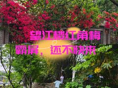 -望江楼公园