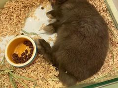 -龙猫仔乐园(惠福东路店)