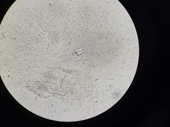 -太原东方动物医院(小店分院)