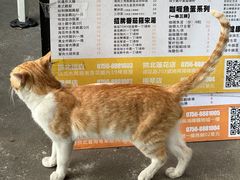 -颓记茶餐厅(美景总店)