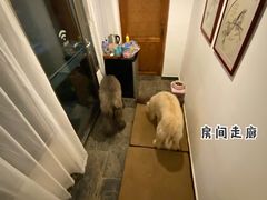 -北京山里寒舍度假酒店