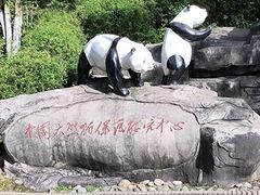 -都江堰中华大熊猫苑