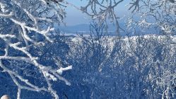 -大秃顶子山