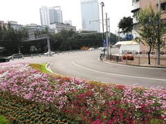 -广州都市观光巴士(粤陶巴)