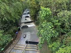 -圣淘沙天际线斜坡滑车