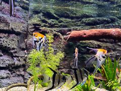 -上海海洋水族馆