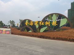 -北海金海湾红树林生态旅游区