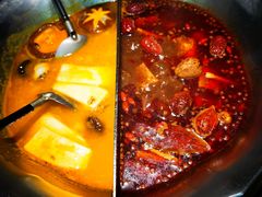 -湊湊火锅·茶憩(南京东路悦荟店)