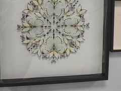 -渔舶汇蒸汽活海鲜·榴莲自助(领展中心城店)