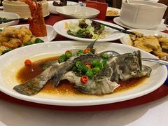海龙趸-湛江菜.江南首席(昆山店)