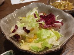 -坦坦大炉·韩式烤肉(望京店)
