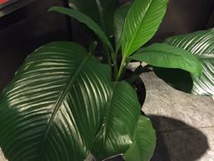 -广州克莱顿酒店