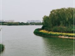 -大兴滨河森林公园