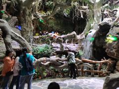 -多彩贵州城极地海洋世界