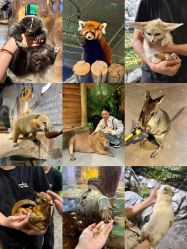 -Zoolung Zoolung动物主题公园(海信广场店)