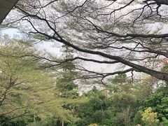 -深圳国际园林花卉博览园