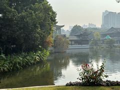 -荔湾湖公园