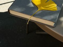 -大小咖啡 BigSmallCoffee(麦子店)