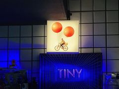 -TINY