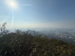 -紫金山山顶公园