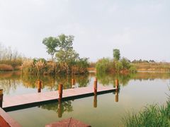 -白鹭湾湿地公园