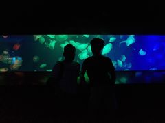 -成都浩海立方海洋公园