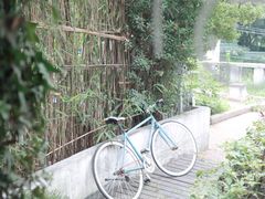 -海边的猫和咖啡馆