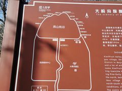 -大岭沟猕猴桃谷风景区