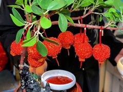 -奔跑吧陕菜·盛世长安(民乐园万达店)