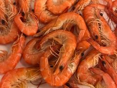 白灼明虾-朱仔记食府(江南大道店)