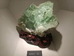-安徽省地质博物馆