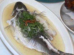 -聚彩居三和酒楼•老字号粤菜(南城店)