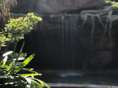 -韶关经律论国际酒店温泉