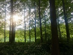 -新江湾城公园