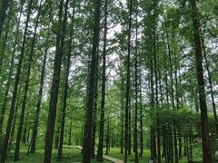 -国家植物园南园