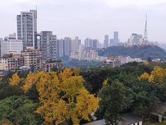 -鹅岭公园瞰胜楼