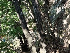 -丹东市五龙山风景区