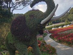 -广州市石门国家森林公园