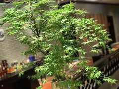 -龙悦湾酒家·八阵鱼生·渔人码头店